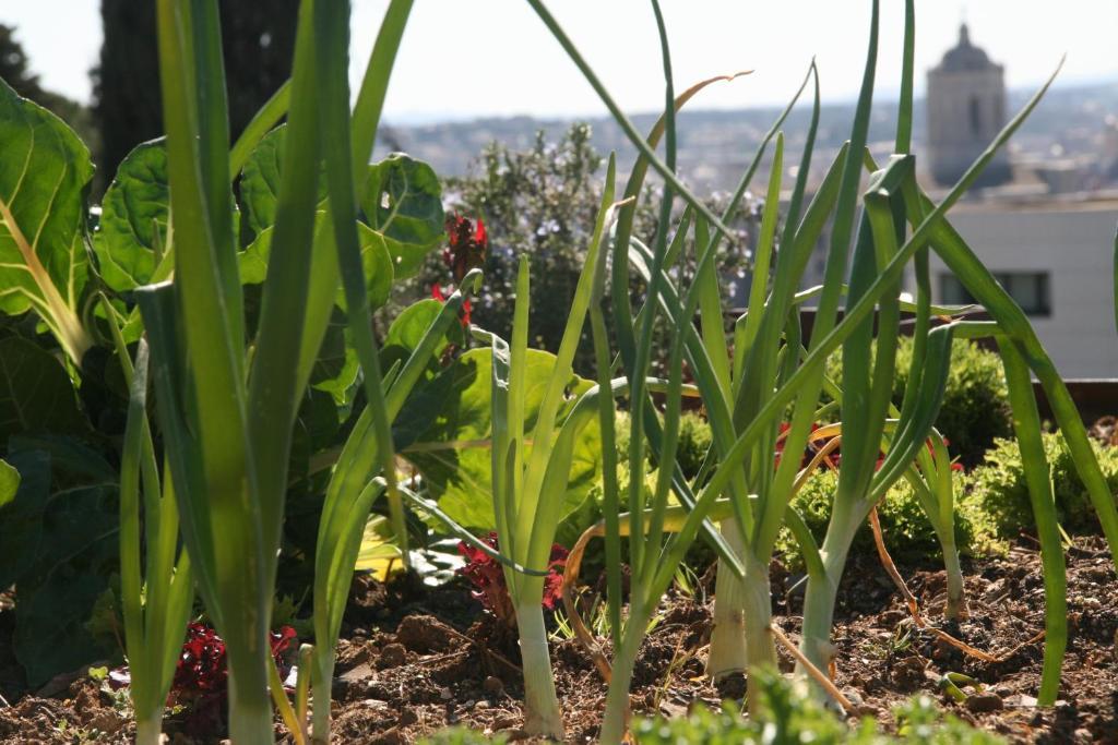 Villa Montjuic Girona Kültér fotó